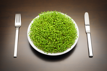 Zelený talíř